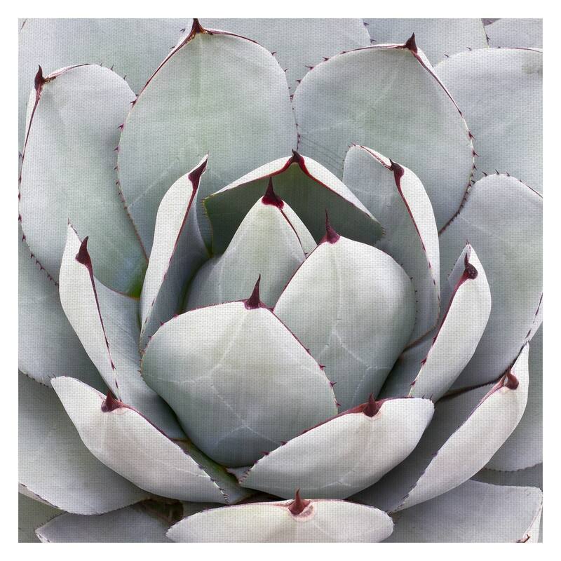 Masterpiece Art Gallery Desert Grey Cactus By Robin Constable Hanson Canvas Art Print
