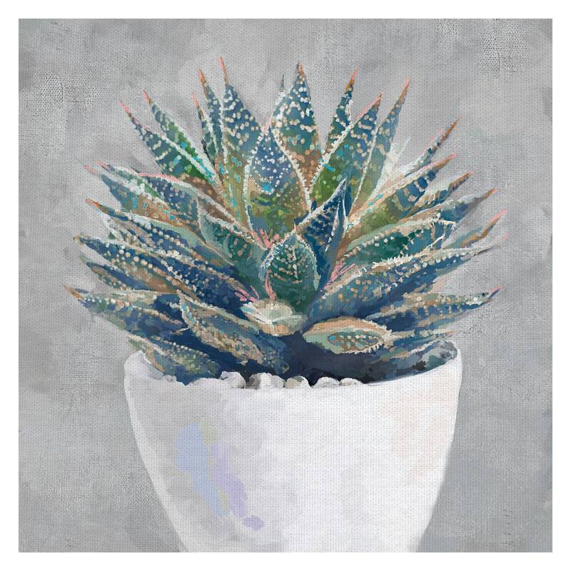 Masterpiece Art Gallery Potted Succulent I By Studio Arts Canvas Art Print - Multi-color