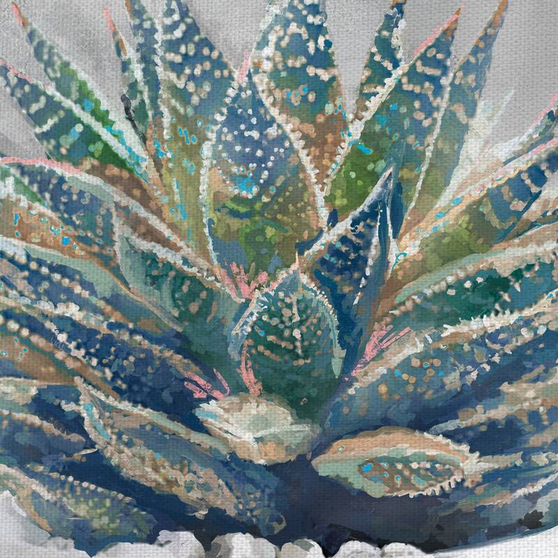 Masterpiece Art Gallery Potted Succulent I By Studio Arts Canvas Art Print - Multi-color