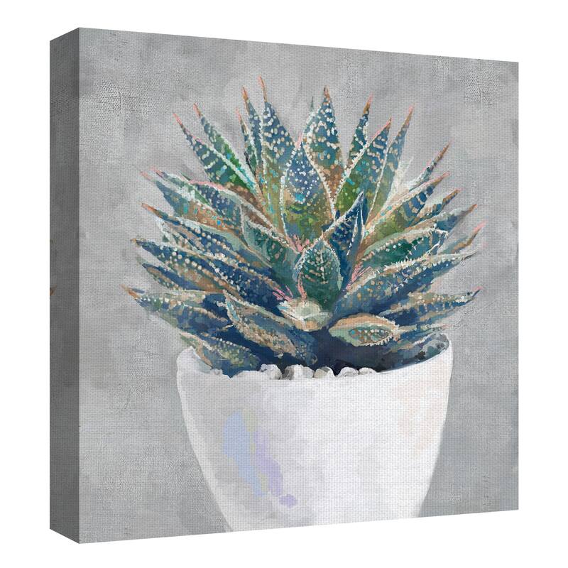 Masterpiece Art Gallery Potted Succulent I By Studio Arts Canvas Art Print - Multi-color
