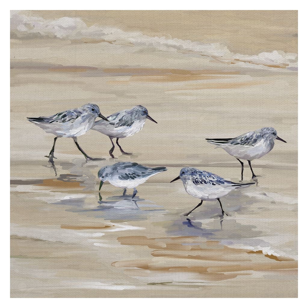 Masterpiece Art Gallery Sandpiper Beach II Amber by Studio Arts Canvas Art - Multi-color