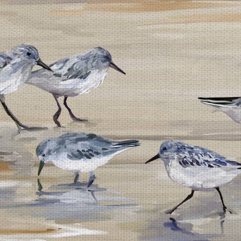 Masterpiece Art Gallery Sandpiper Beach II Amber by Studio Arts Canvas Art - Multi-color