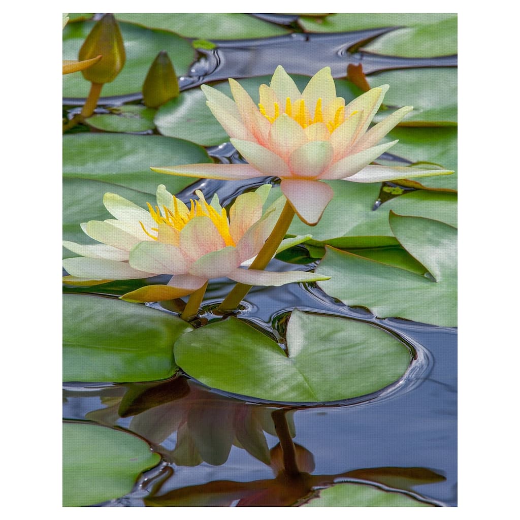 Fine Art canvas Perfect Couple Water Lillies by Robin Constable Hanson Canvas Art Print