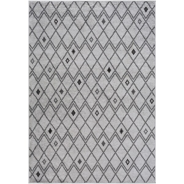 Woven Anabella Area Rug - 8' x 10'