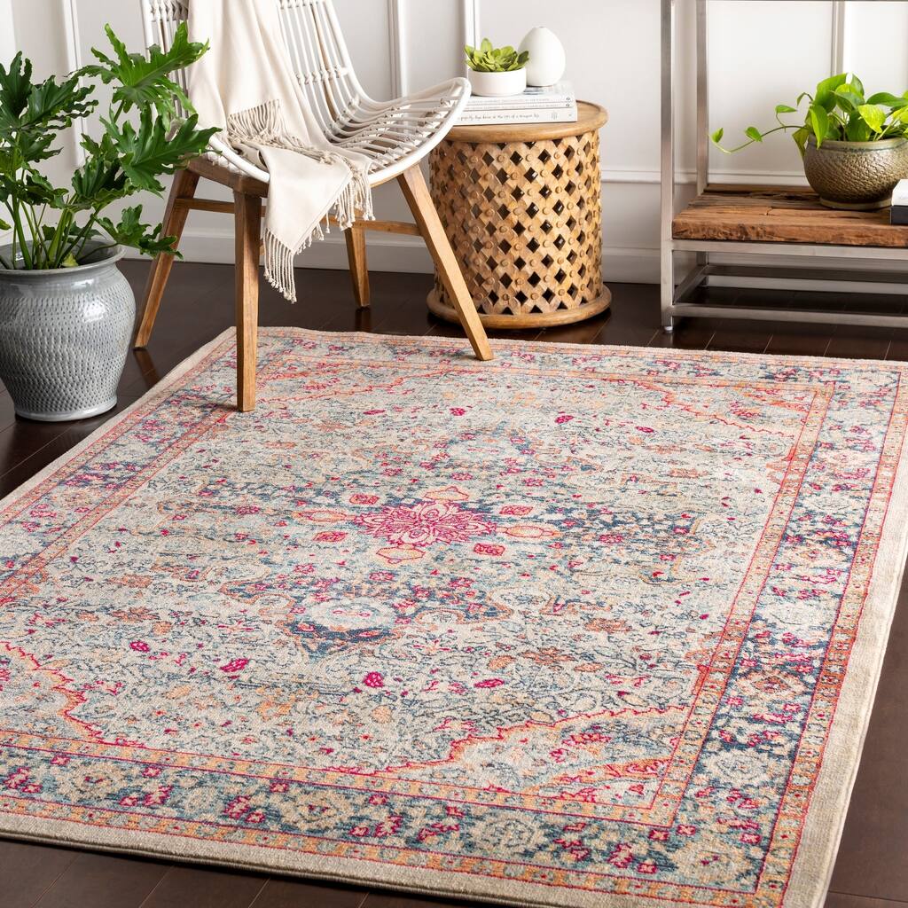Charisma Updated Traditional Area Rug - 3'11