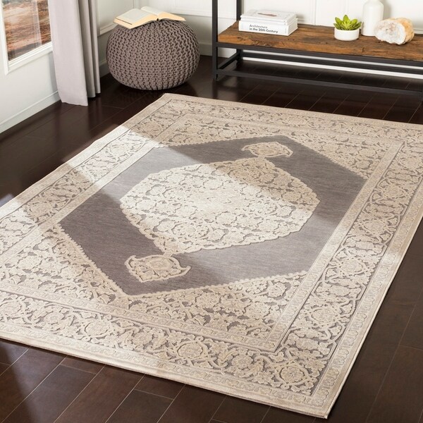 Ariadne Beige Chenille Vintage Persian Accent Rug 2