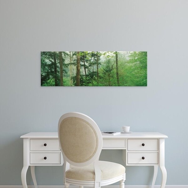 Easy Art Prints Panoramic Images's 'Trees in spring forest, Turkey Run State Park, Parke County, Indiana' Premium Canvas Art