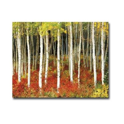 Aspen Grove by Scanlan Gallery Wrapped Canvas Giclee Art (24 in x 30 in, Ready to Hang)