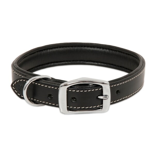 petmate dog collar