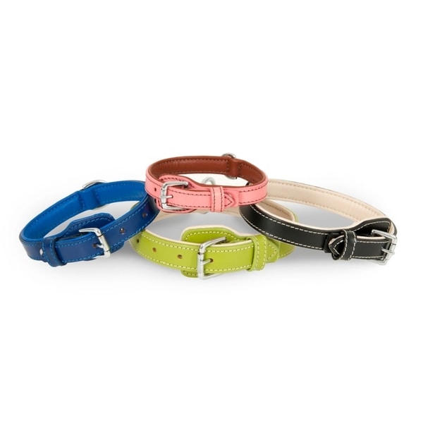 petmate dog collars