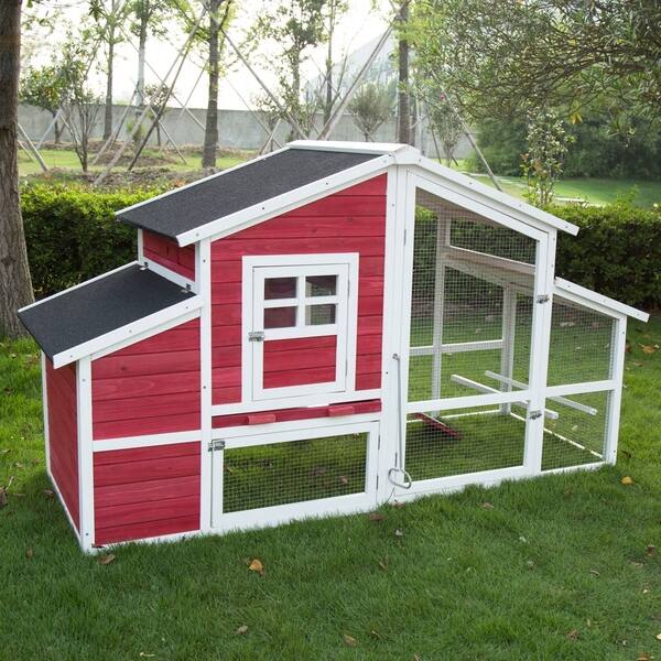 Shop Kinbor 45 Large Backyard Chicken Coop Hen House With