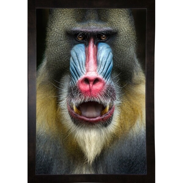 Mandrill 2-SHASMA136075 Print 18"x12" by SD Smart