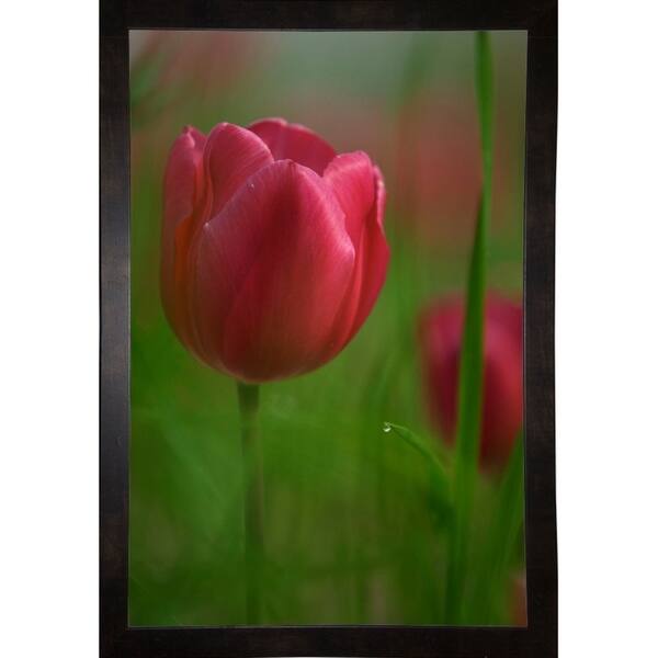 Tulip No 2-ISTNAG128831 Print 25.5"x17" by István Nagy