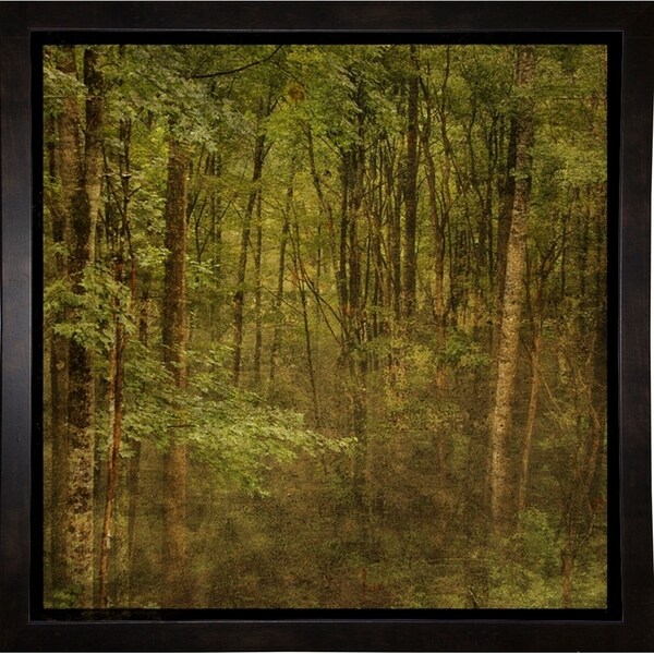 Fog in Mountain Trees-JOHGOL92885 Print 15.75"x15.75" by John W. Golden