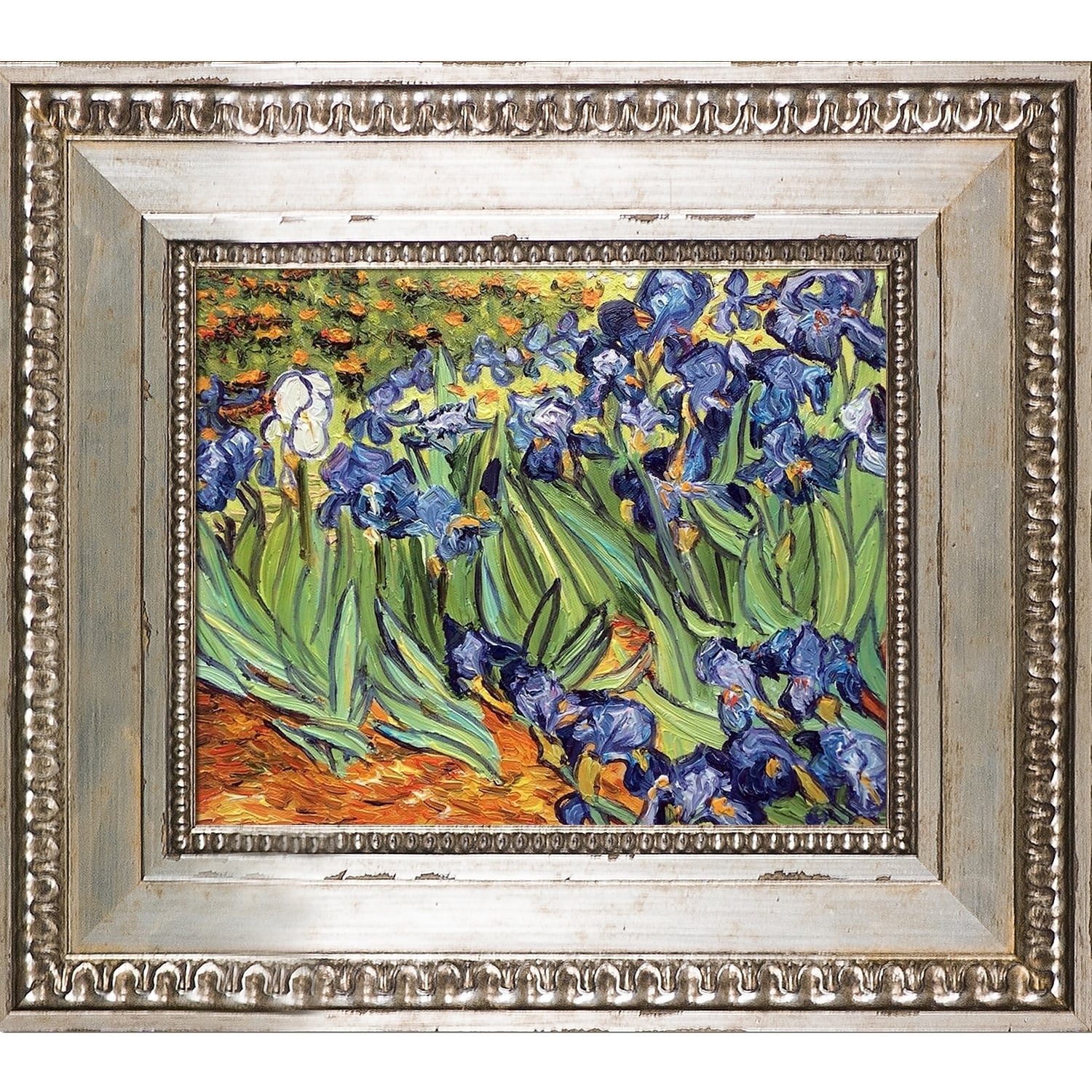 Bouck Paint by Number Kit for Adults - Van Gogh's Irises, Includes 14 inch, Brown