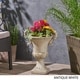 preview thumbnail 12 of 16, Delphine Roman Chalice Lightweight Concrete Planter by Christopher Knight Home