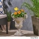 preview thumbnail 7 of 16, Delphine Roman Chalice Lightweight Concrete Planter by Christopher Knight Home