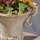 preview thumbnail 16 of 16, Delphine Roman Chalice Lightweight Concrete Planter by Christopher Knight Home