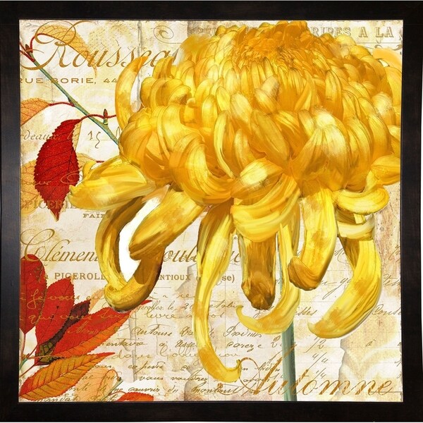 Chrysanthemes II-COLBAK119618 Print 24"x24" by Color Bakery