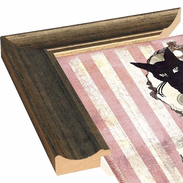 Bad Cat I-COLBAK126723 Print 24"x24" by Color Bakery
