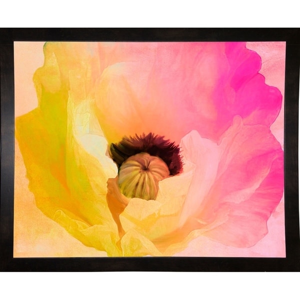 Poppy Gradient II-COLBAK115636 Print 13.5"x17" by Color Bakery