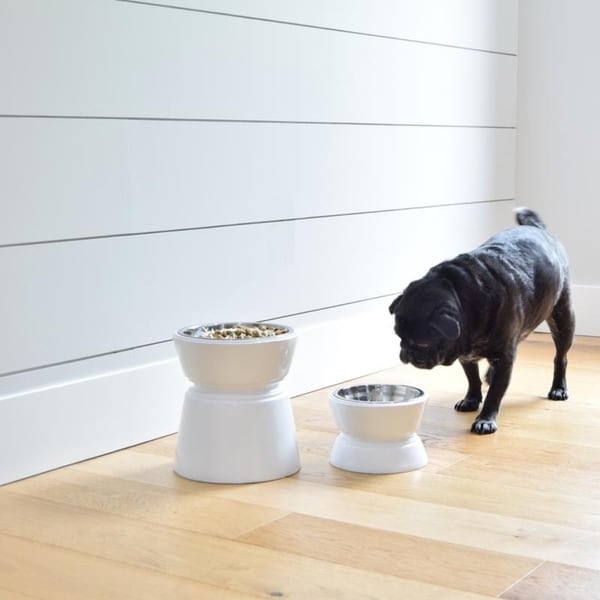 unleashed life elevated dog bowls