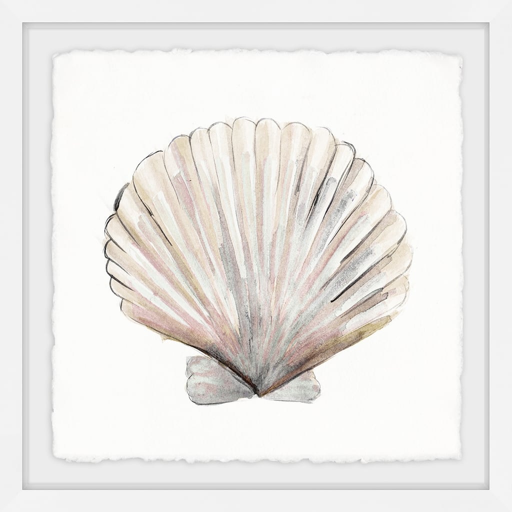 'Classic Shell' Framed Painting Print - Multi-Color