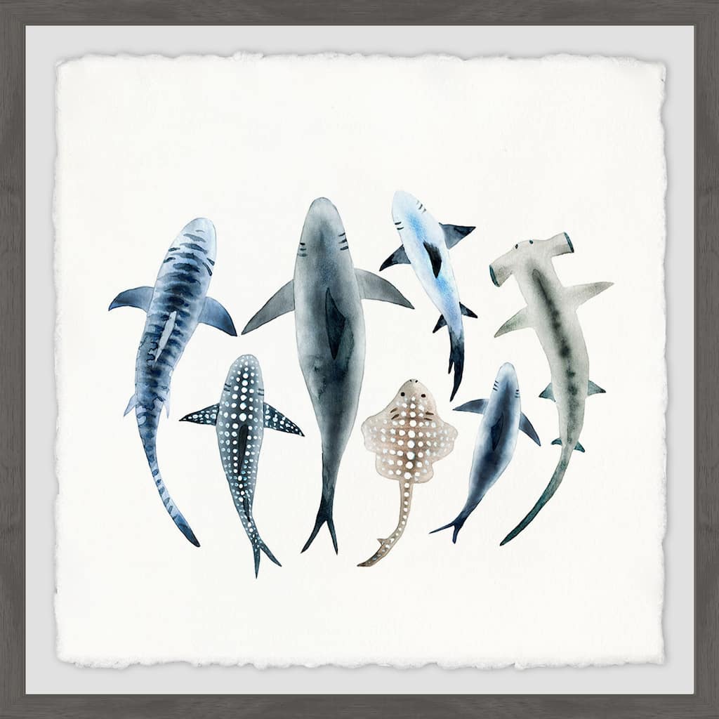 'Shark Types' Framed Painting Print - Multi-Color