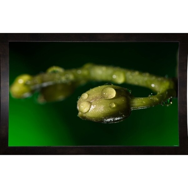 GS36_4204-GORSEM129703 Print 15"x24" by Gordon Semmens