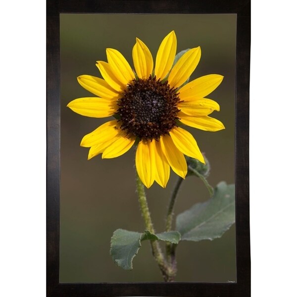 GS36_6417_1064-GORSEM136218 Print 22.25"x14.5" by Gordon Semmens