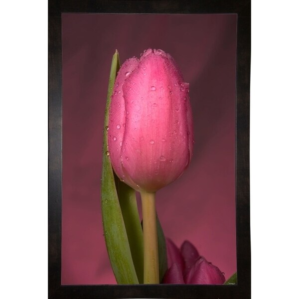 GS36_352-GORSEM140536 Print 22.5"x14.5" by Gordon Semmens