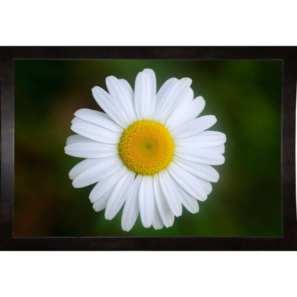 Shades Of Nature 50-GORSEM85178 Print 9.5"x14.25" by Gordon Semmens