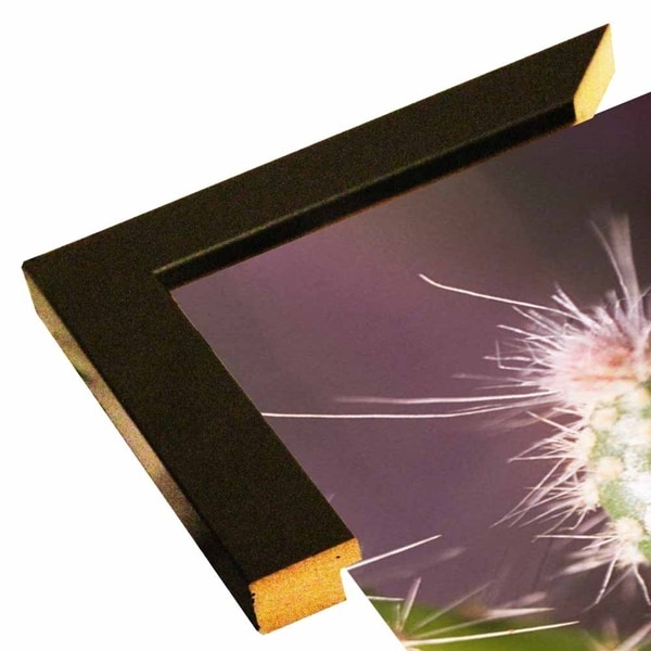 AKU_0089-FLOPHO117661 Print 17.25"x11.25" by Flowerphotos