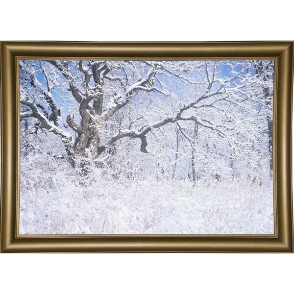 Buffalo River 45-GORSEM69830 Print 11.5"x17" by Gordon Semmens