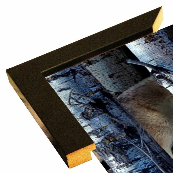 Moon Shadows 2-GORSEM63047 Print 12.25"x32" by Gordon Semmens