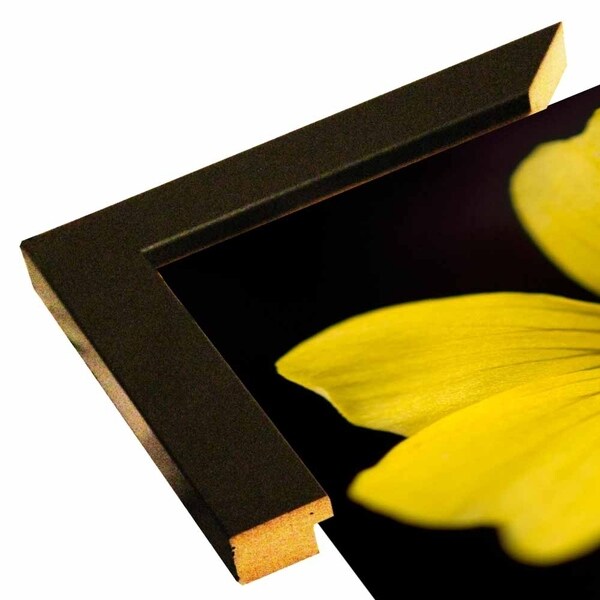 AMF_0094-FLOPHO117676 Print 15.25"x17" by Flowerphotos