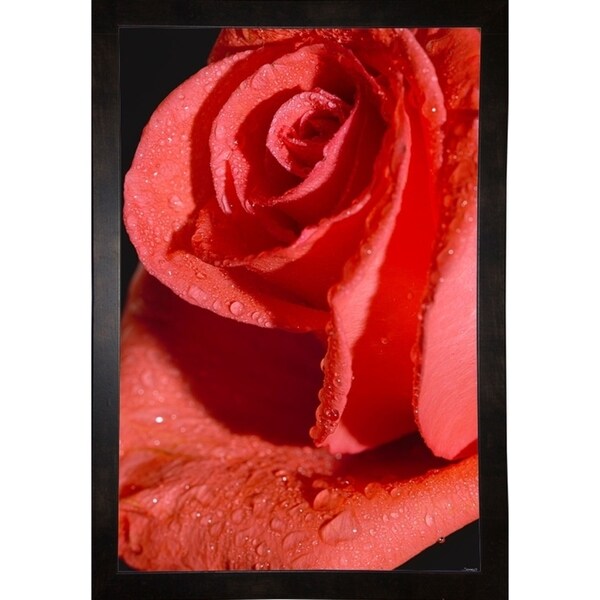 The Rose_6HDR-GORSEM117831 Print 24.5"x16.25" by Gordon Semmens