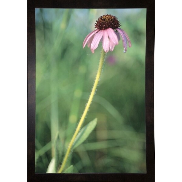 Buffalo River 28-GORSEM69854 Print 17"x11.5" by Gordon Semmens