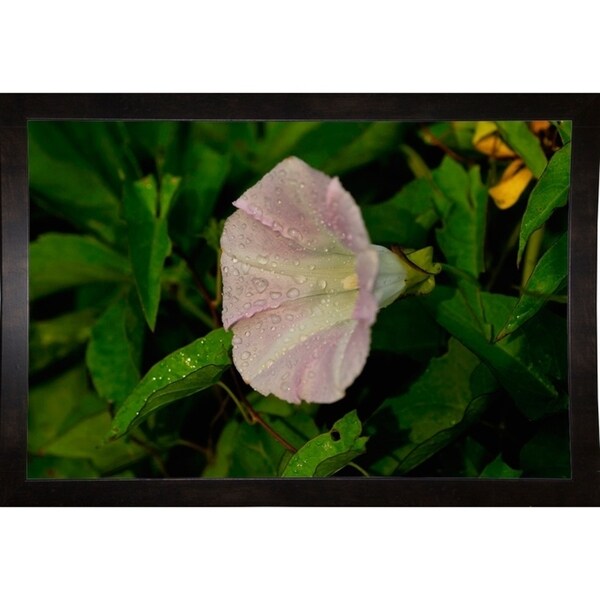 Shades Of Nature 40-GORSEM85169 Print 9.5"x14.25" by Gordon Semmens