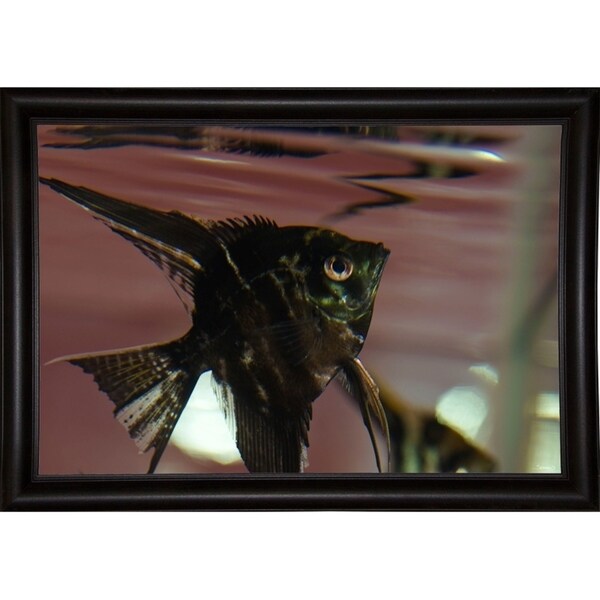 Angel Fish II-GORSEM117183 Print 20.5"x30.75" by Gordon Semmens