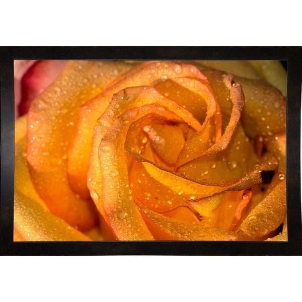 The Rose_10HDR-GORSEM117833 Print 16.25"x24.5" by Gordon Semmens