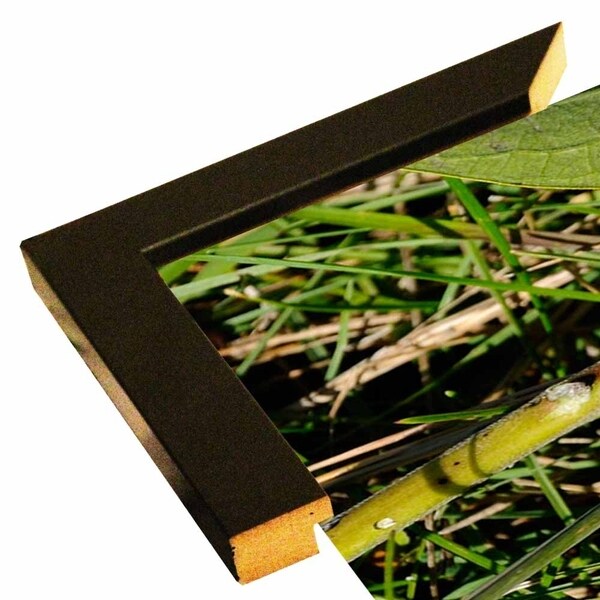 Shades Of Nature 55-GORSEM85183 Print 6.5"x11.75" by Gordon Semmens