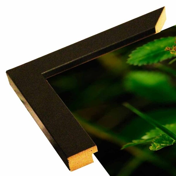 Shades Of Nature 23-GORSEM85155 Print 7.25"x12.25" by Gordon Semmens