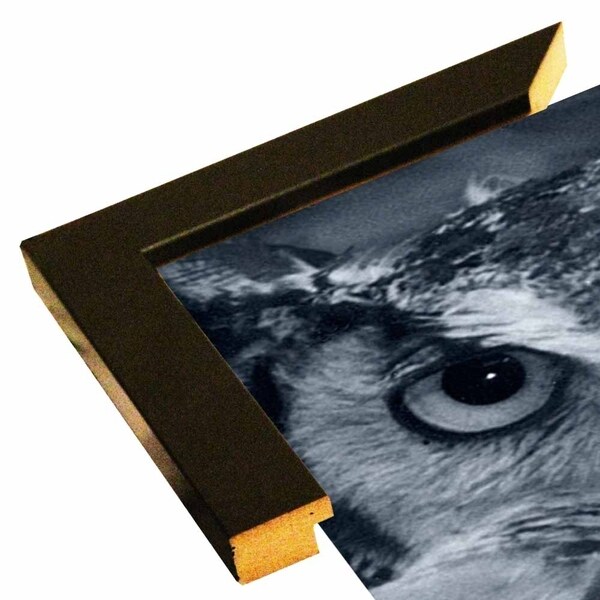 Owl-GORSEM62076 Print 8.25"x4.5" by Gordon Semmens