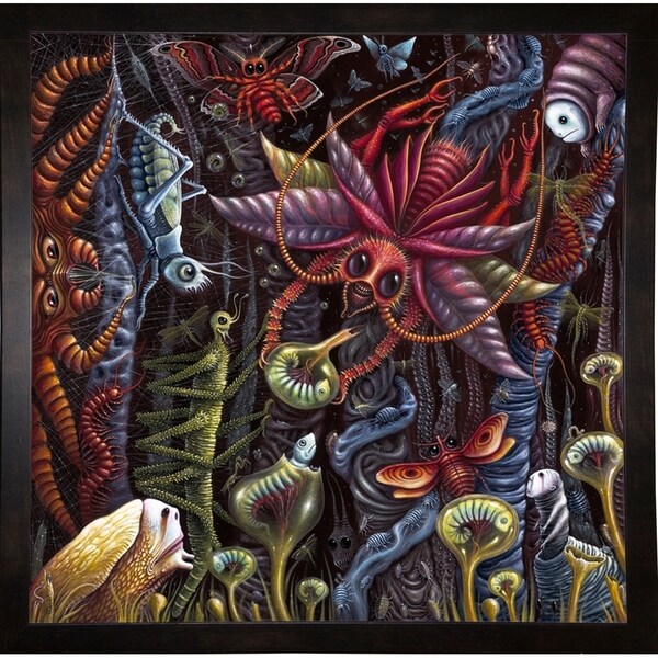 Insectus Print 24"x24" by Robert Connett -ROBCON272085