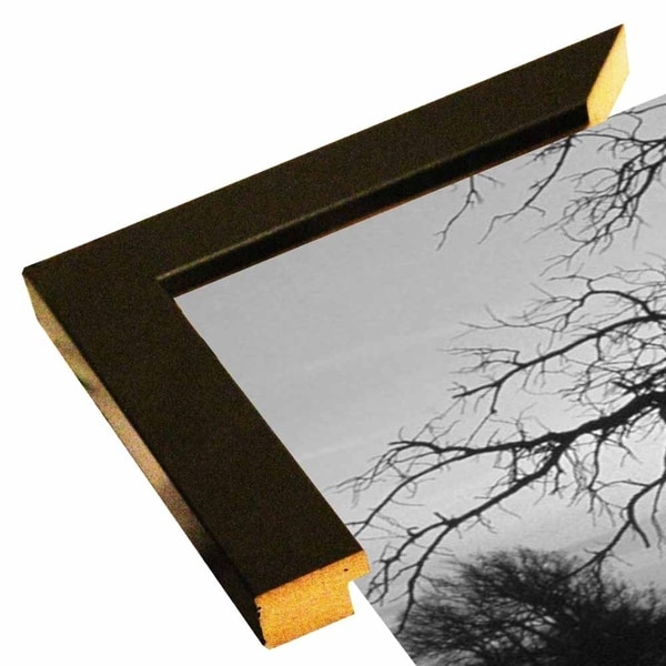 Silhouette 2-GORSEM62182 Print 4.5"x8" by Gordon Semmens