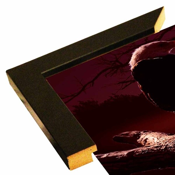 Eagle Sunrise-GORSEM85071 Print 13.5"x28" by Gordon Semmens