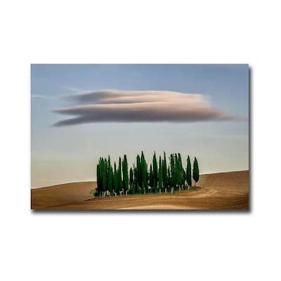 Tuscan Cypress by Jim Zuckerman Gallery Wrapped Canvas Giclee Art (24 in x 36 in, Ready to Hang)