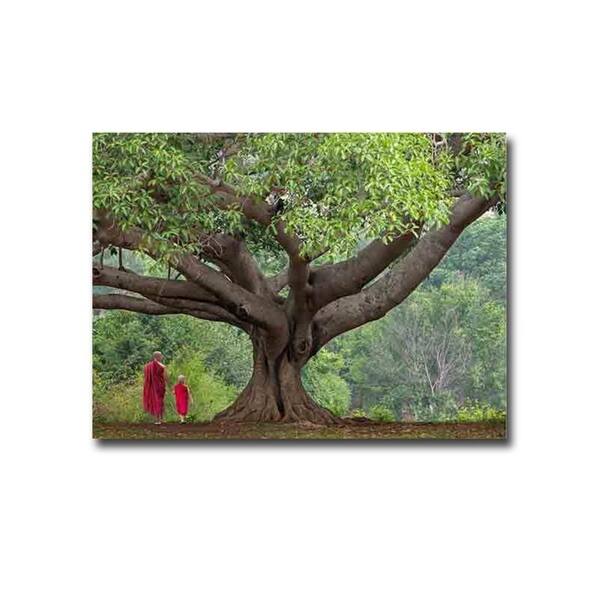 slide 1 of 1, Monks in Myanmar by Jim Zuckerman Gallery Wrapped Canvas Giclee Art (24 in x 32 in, Ready to Hang)