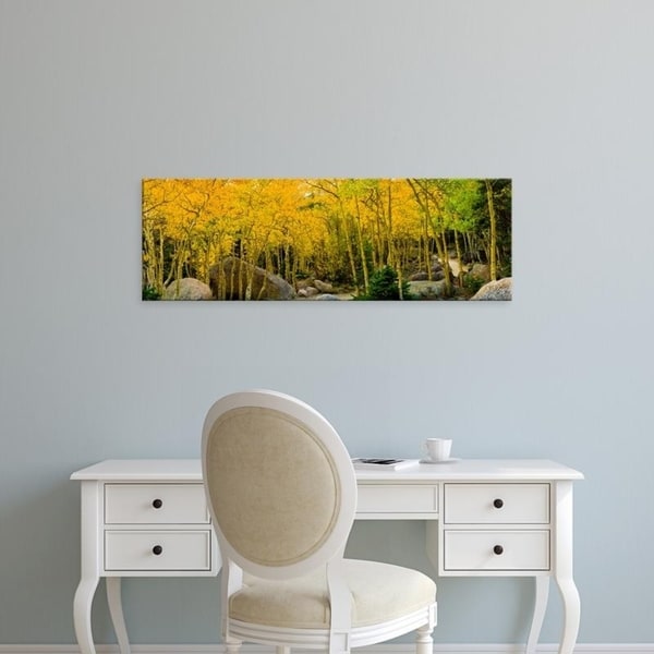Easy Art Prints Panoramic Images's 'Rocks and trees in a forest, Glacier Gorge Trailhead, Colorado, USA' Premium Canvas Art
